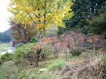 Dscf0030.jpg