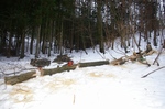 IMGP0807.jpg