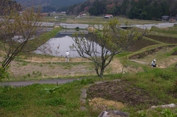 IMGP0818.jpg