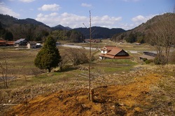 IMGP5064.jpg