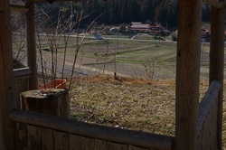 IMGP5065.jpg