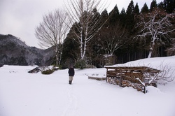 IMGP5079.jpg