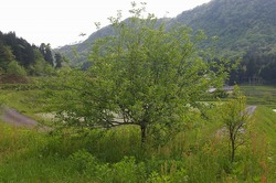 IMGP5848.jpg
