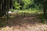 IMGP6775.jpg