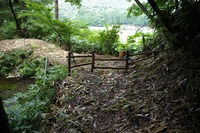 IMGP7023.jpg