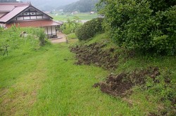IMGP7038.jpg
