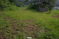 IMGP7109.jpg