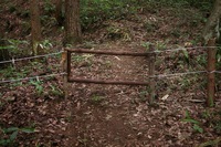 IMGP7116.jpg