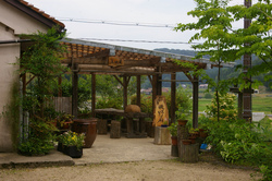 IMGP7972.jpg
