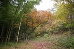 IMGP9234.jpg