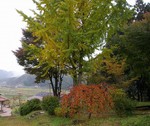 IMGP9358.jpg