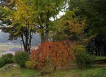 IMGP9358b.jpg