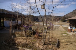IMGP9408.jpg