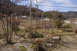 IMGP9410.jpg