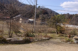 IMGP9413.jpg